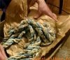 Веревка, использованная при убийстве