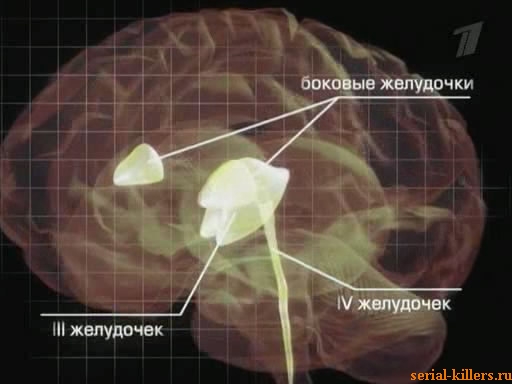 Диагноз - маньяк